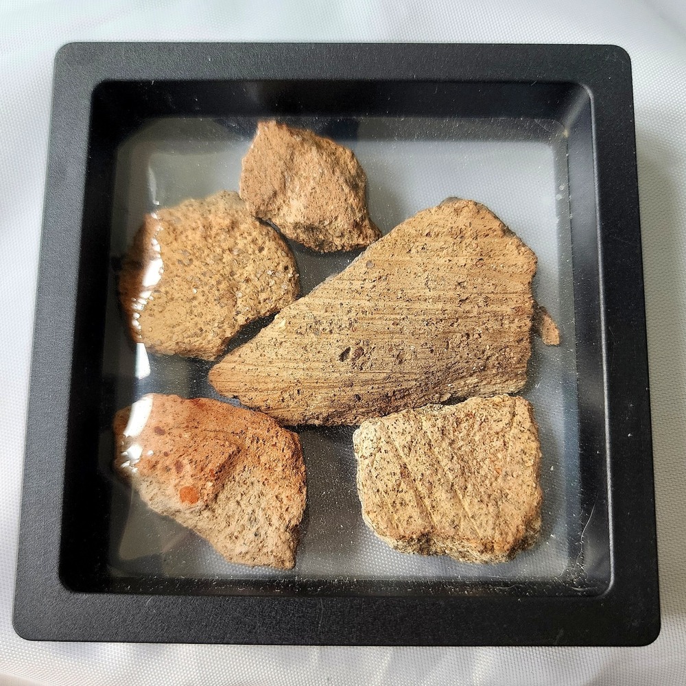 Ancient Pre Colombian Pottery‎ Shards Historical Artifacts Collection Detailed